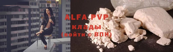 ГАЛЛЮЦИНОГЕННЫЕ ГРИБЫ Няндома