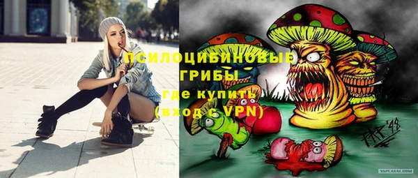 ГАЛЛЮЦИНОГЕННЫЕ ГРИБЫ Няндома