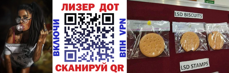 Купить закладки  Каргополь  Марки N-bome 1,5мг 