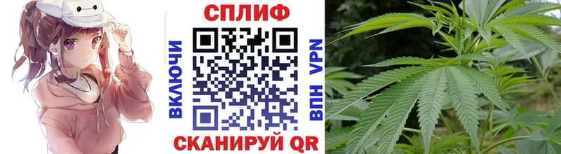 Купить закладки  Каргополь  Бошки Шишки SATIVA & INDICA 